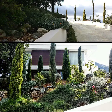 Mountain View Αψιού