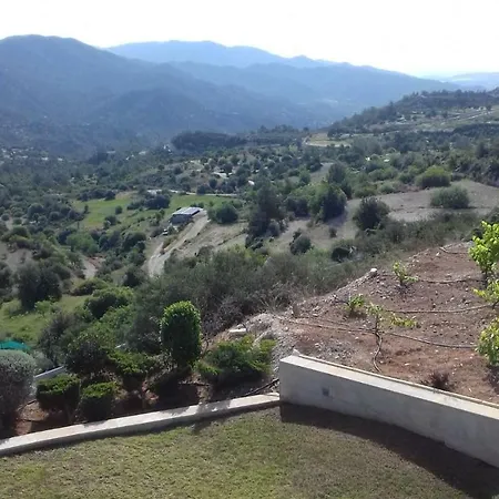 فيلة Mountain View
